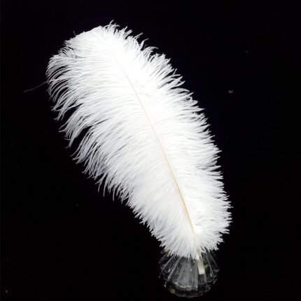 Feather